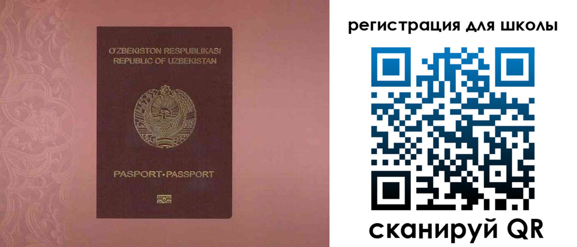 прописка для школы в Струнино